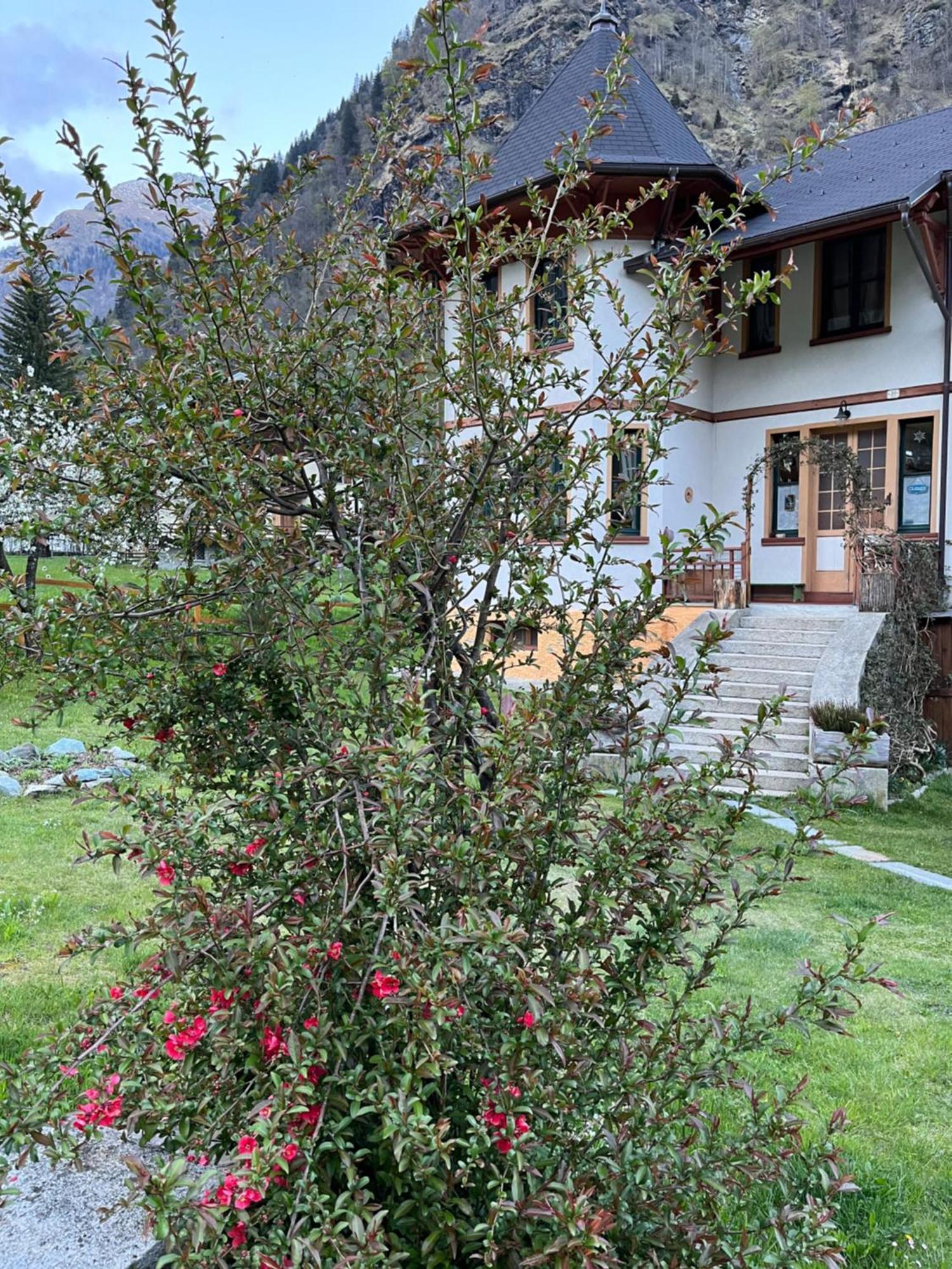 L'Aria Di Casa Bed & Breakfast Аланя Валсесия Екстериор снимка