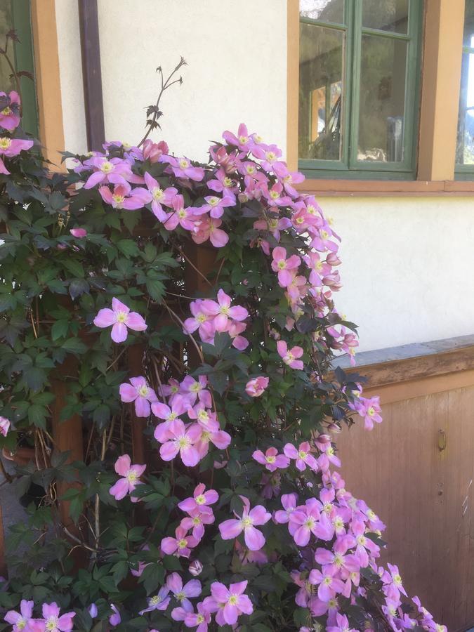 L'Aria Di Casa Bed & Breakfast Аланя Валсесия Екстериор снимка