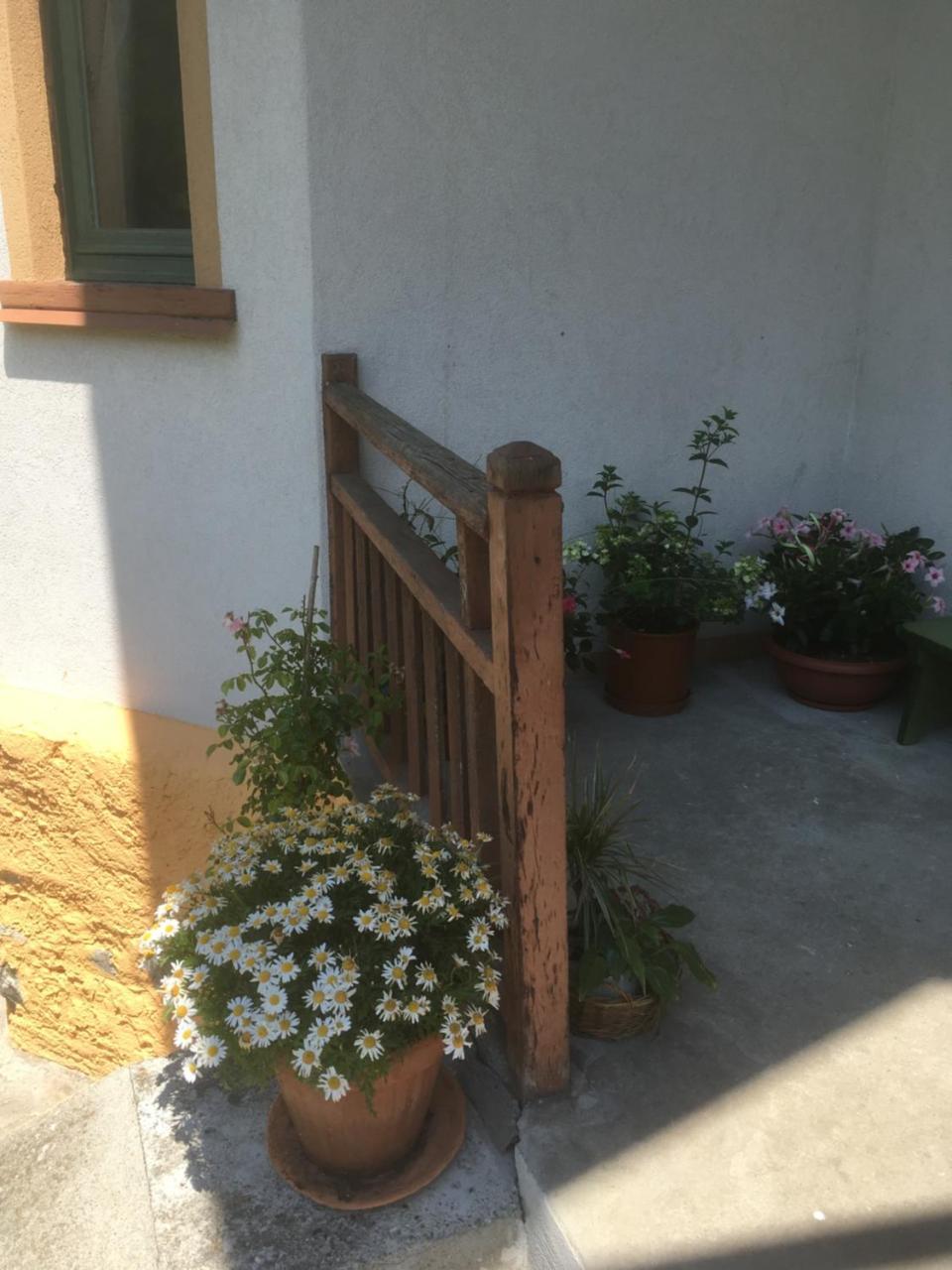 L'Aria Di Casa Bed & Breakfast Аланя Валсесия Екстериор снимка